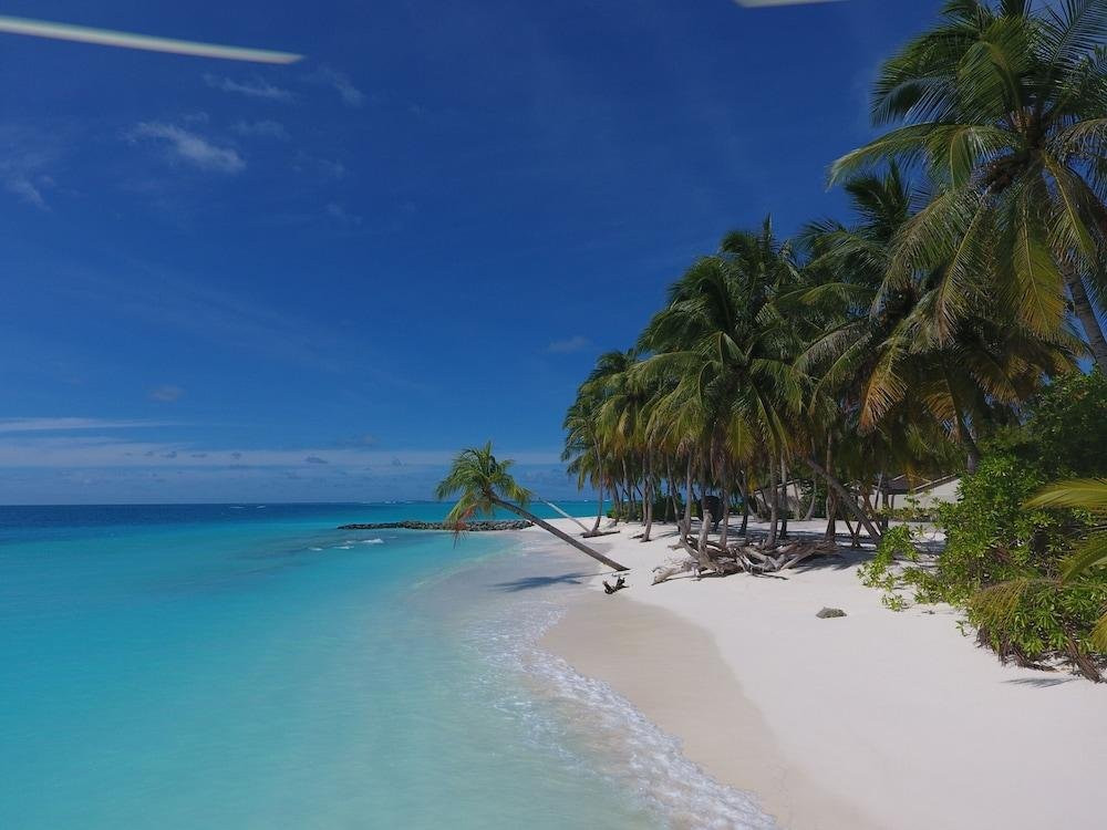 Maldive
